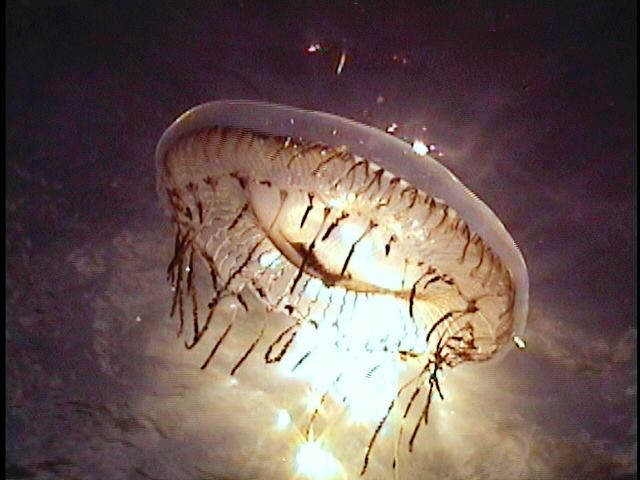 Imagenes impresionantes